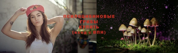 гидропоника Армянск