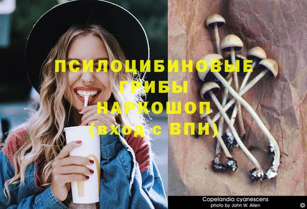 мет Арсеньев