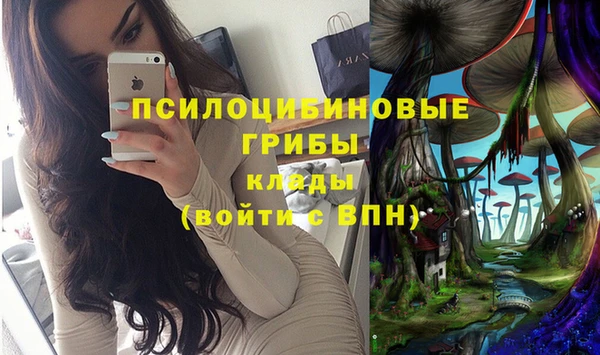 меф Алзамай